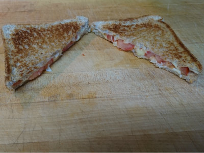 Grilled sandwich cut in half with cheese and tomato